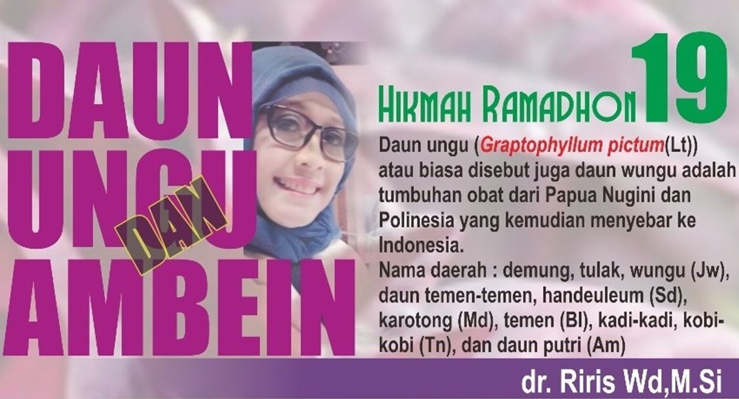 Mengobati Ambein dengan Daun Ungu